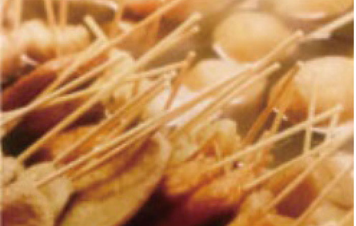 静岡おでん たけい